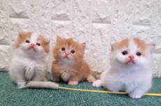 �C���[�W04