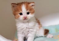 �C���[�W04