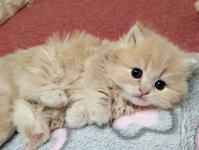 �C���[�W03