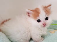 �C���[�W04