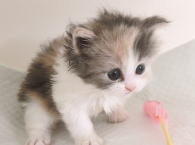 �C���[�W04