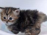 �C���[�W04