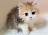 �C���[�W04