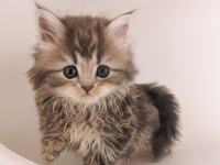 �C���[�W02