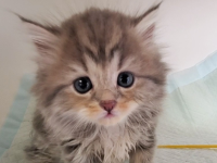 �C���[�W03