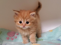 �C���[�W03